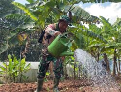 Kodam IV/Diponegoro Sulap Lahan Tidur Jadi Lahan Produktif