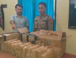 Polres Taput Bersama Pihak Bandara Silangit Gagalkan Pengiriman Ganja Kering 12 Bal