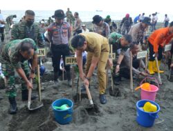 Penanaman Mangrove Jajaran TNI, Kodim Kendal Tanam 8000 Batang Bibit Di Pantai Kendal