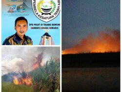 Bakar Kebun Tebu, Perusahaan SGC Tulang Bawang Cemari Lingkungan