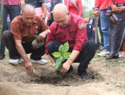 Bupati Taput Hadiri Penanaman Perdana Kopi Arabika Jenis Komasti di Desa Doloksaribu Kecamatan Pagaran