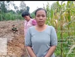 Kepala Desa Bahal Batu 1 Diduga Tidak Memberi Tanggapan Kepada Masyarakatnya Yang Menjadi korban Pengrusakan Lahan Kebunnya