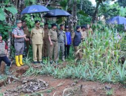 Dr. Imran Tinjau Tanah Retak di Desa Sukamelang Kasomalang