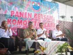 PANEN PERTAMA GERAKAN TANAM PANGAN CEPAT PANENHORTIKULTURA KOTA CIMAHI DI TAHUN 2024