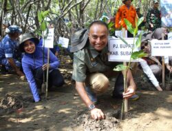 Pj. Bupati Subang Hadiri Acara Kareta Sobat dan Penanaman Mangrove di Kawasan Pulau Burung Mayangan-Pondok Bali Subang